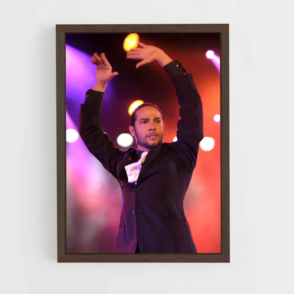 Poster Joaquin de cortes – affiche Danse (vue 5)
